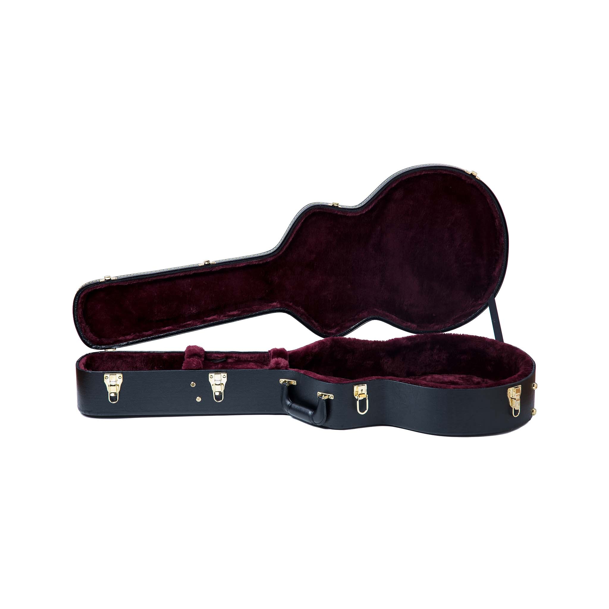 Electric Guitar Case for H-575 - Image 3